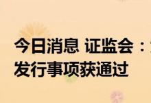 今日消息 证监会：大元泵业等5家公司可转债发行事项获通过