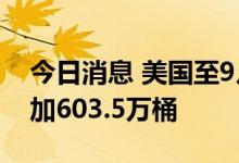 今日消息 美国至9月9日当周API原油库存增加603.5万桶