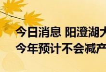 今日消息 阳澄湖大闸蟹上市时间并未延迟，今年预计不会减产