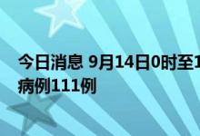 今日消息 9月14日0时至15时，贵州毕节市织金县新增阳性病例111例