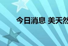 今日消息 美天然气主连合约大涨6%