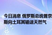 今日消息 俄罗斯总统普京和土耳其总统埃尔多安将讨论俄罗斯向土耳其输送天然气