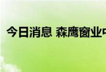 今日消息 森鹰窗业中签号出炉 共约2.1万个