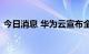 今日消息 华为云宣布全面建设全球初创生态