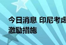 今日消息 印尼考虑对购买电动汽车实施补贴激励措施