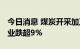 今日消息 煤炭开采加工板块继续下跌 安源煤业跌超9%