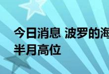 今日消息 波罗的海干散货运价指数刷新一个半月高位