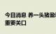 今日消息 养一头猪盈利超1000元？猪价突破重要关口