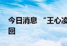 今日消息 “王心凌男孩”商标注册申请被驳回