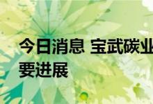 今日消息 宝武碳业负极材料项目建设取得重要进展