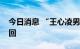 今日消息 “王心凌男孩”商标注册申请被驳回