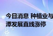 今日消息 种植业与林业板块午后异动拉升 平潭发展直线涨停