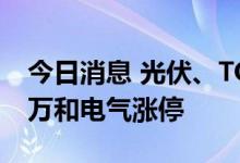 今日消息 光伏、TOPcon电池板块异动拉升 万和电气涨停