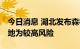 今日消息 湖北发布森林火险气象等级预报 局地为较高风险