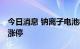 今日消息 钠离子电池板块开盘活跃 新筑股份涨停