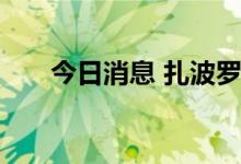 今日消息 扎波罗热公布入俄公投结果