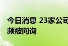 今日消息 23家公司IPO闯关失利 业绩真实性频被问询