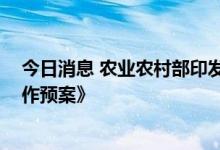 今日消息 农业农村部印发《油菜抗旱抗涝保播种 保全苗工作预案》