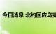 今日消息 北约回应乌克兰签署加入北约申请