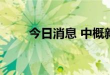 今日消息 中概新能源车股走势分化