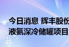 今日消息 辉丰股份：拟投建农药制剂项目和液氨深冷储罐项目