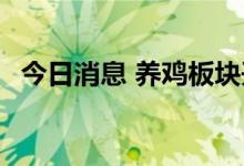 今日消息 养鸡板块开盘活跃 益生股份涨停