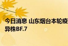 今日消息 山东烟台本轮疫情病毒基因测序主要为奥密克戎变异株BF.7