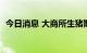 今日消息 大商所生猪期货主力合约大涨6%