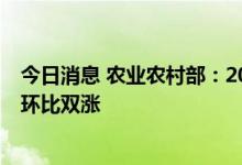 今日消息 农业农村部：2022年第39周生猪及猪肉价格同比环比双涨