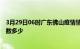 3月29日06时广东佛山疫情情况数据及佛山新冠疫情累计人数多少