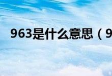 963是什么意思（96796是什么爱情含义）