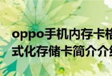 oppo手机内存卡格式化（OPPO手机怎样格式化存储卡简介介绍）