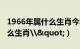 1966年属什么生肖今年多大了（1966年属什么生肖\"）