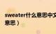 sweater什么意思中文（sweater是什么汉语意思）