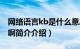 网络语言kb是什么意思（网络上kb什么意思啊简介介绍）