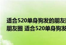 适合520单身狗发的朋友圈的句子（年520单身狗发的搞笑朋友圈 适合520单身狗发的句子）