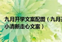 九月开学文案配图（九月开学季个性简洁文案签名 干净文艺小清新走心文案）