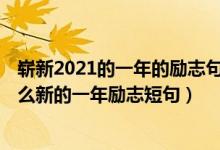 崭新2021的一年的励志句子（2023新的一年励志短句 有什么新的一年励志短句）