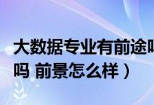 大数据专业有前途吗（大数据技术专业有出路吗 前景怎么样）