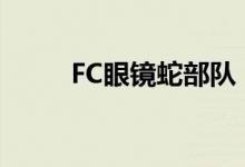 FC眼镜蛇部队（根据什么改编的）