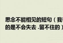 思念不能相见的短句（我有相思不感言的好词好句真正属于的是不会失去 .留不住的）