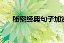 秘密经典句子加赏析（秘密经典句子）