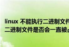 linux 不能执行二进制文件（linux下可执行程序执行过程中,二进制文件是否会一直被占用）