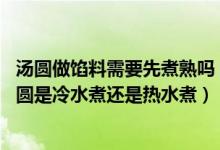 汤圆做馅料需要先煮熟吗（肉汤圆的馅料需要炒熟再包吗 汤圆是冷水煮还是热水煮）