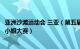 亚洲沙滩运动会 三亚（第五届三亚国际沙滩健美先生比基尼小姐大赛）