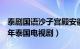 泰剧国语沙子宫殿安徽卫视（沙子宫殿 2021年泰国电视剧）