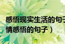 感悟现实生活的句子心情语录（现实生活的心情感悟的句子）