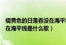 橘黄色的日落吞没在海平线是什么意思（橘黄色的日落吞没在海平线是什么歌）