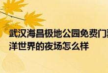 武汉海昌极地公园免费门票可以玩什么节目武汉海昌极地海洋世界的夜场怎么样