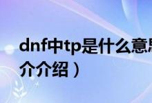 dnf中tp是什么意思（DNF中TP什么意思简介介绍）